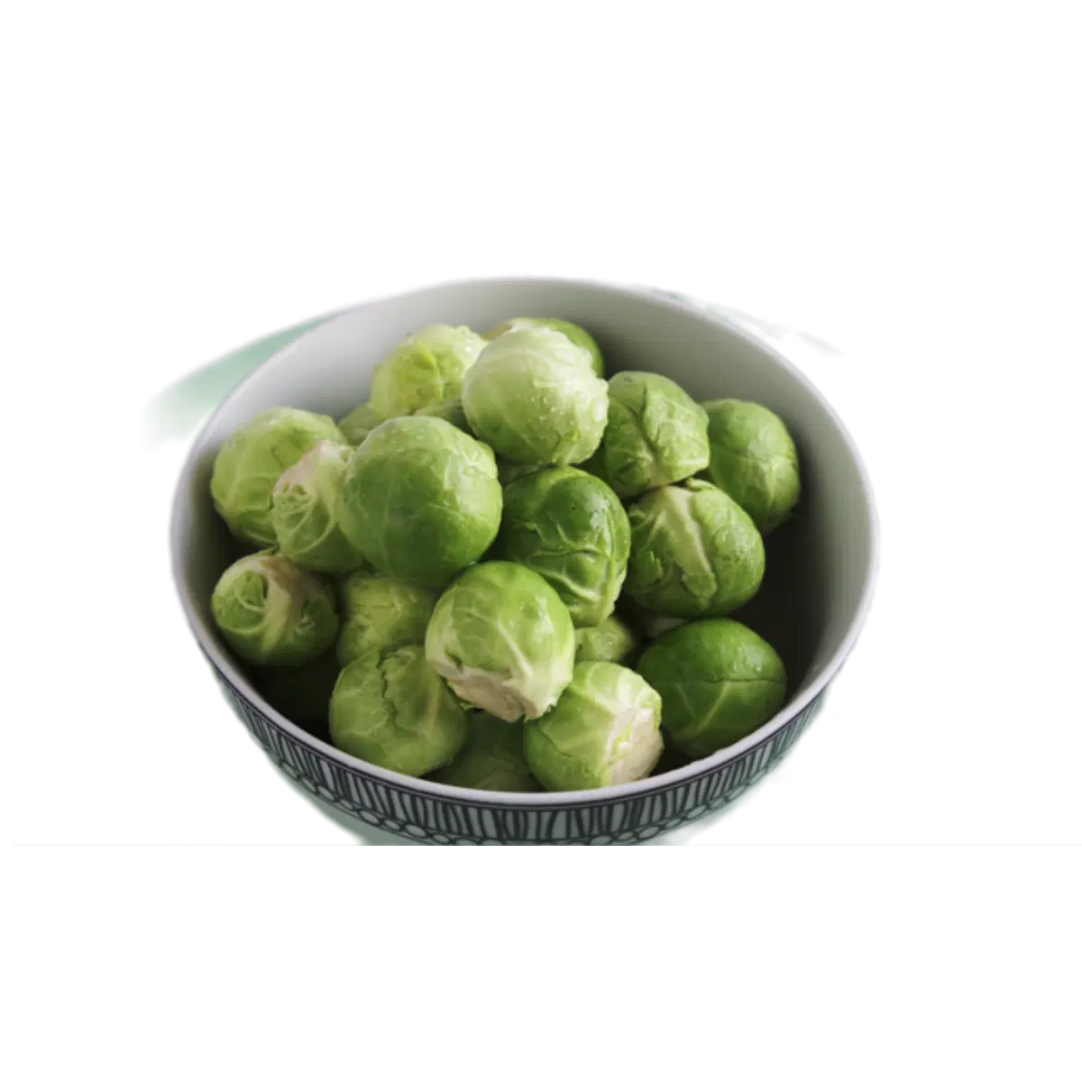 the science behind christmas