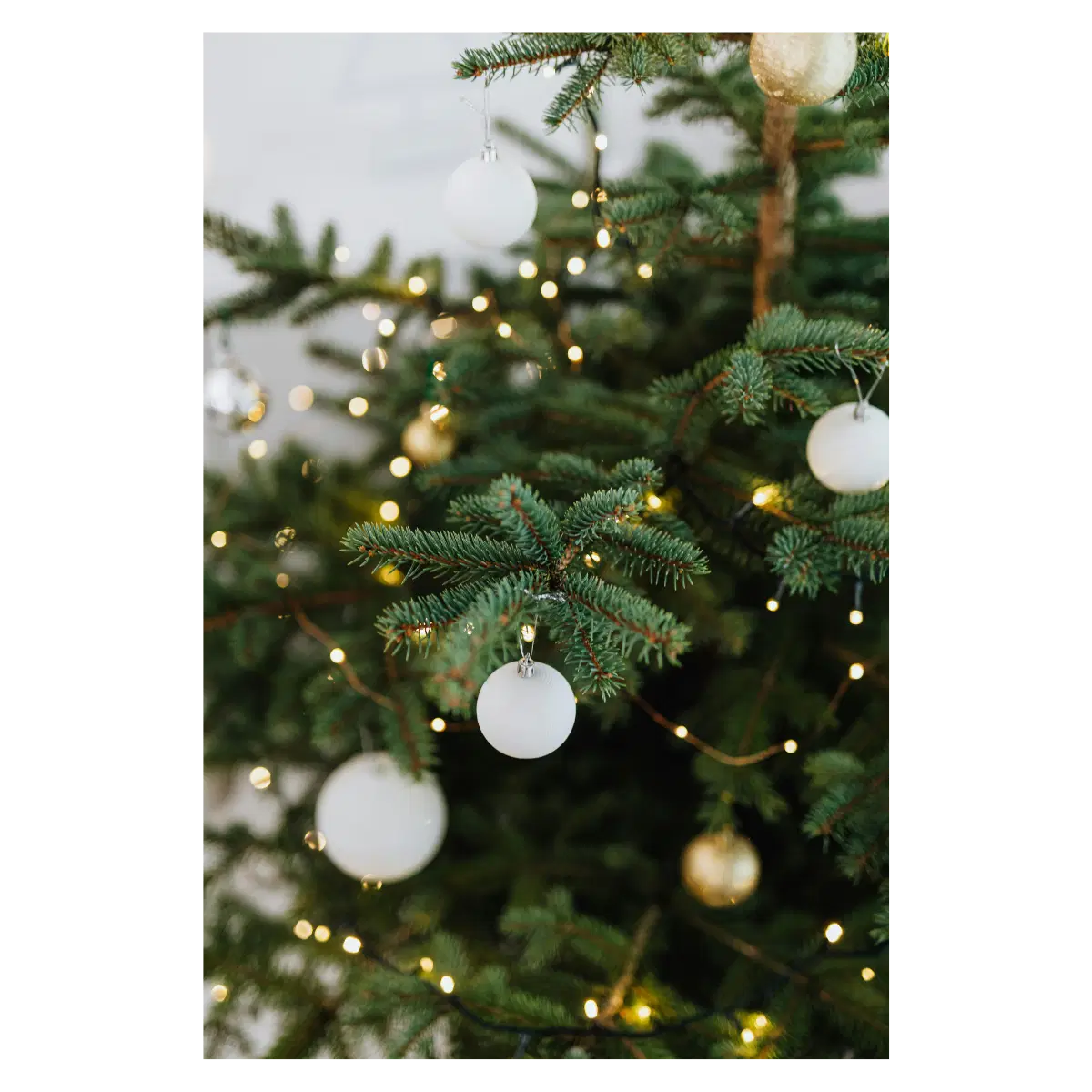 the science behind christmas