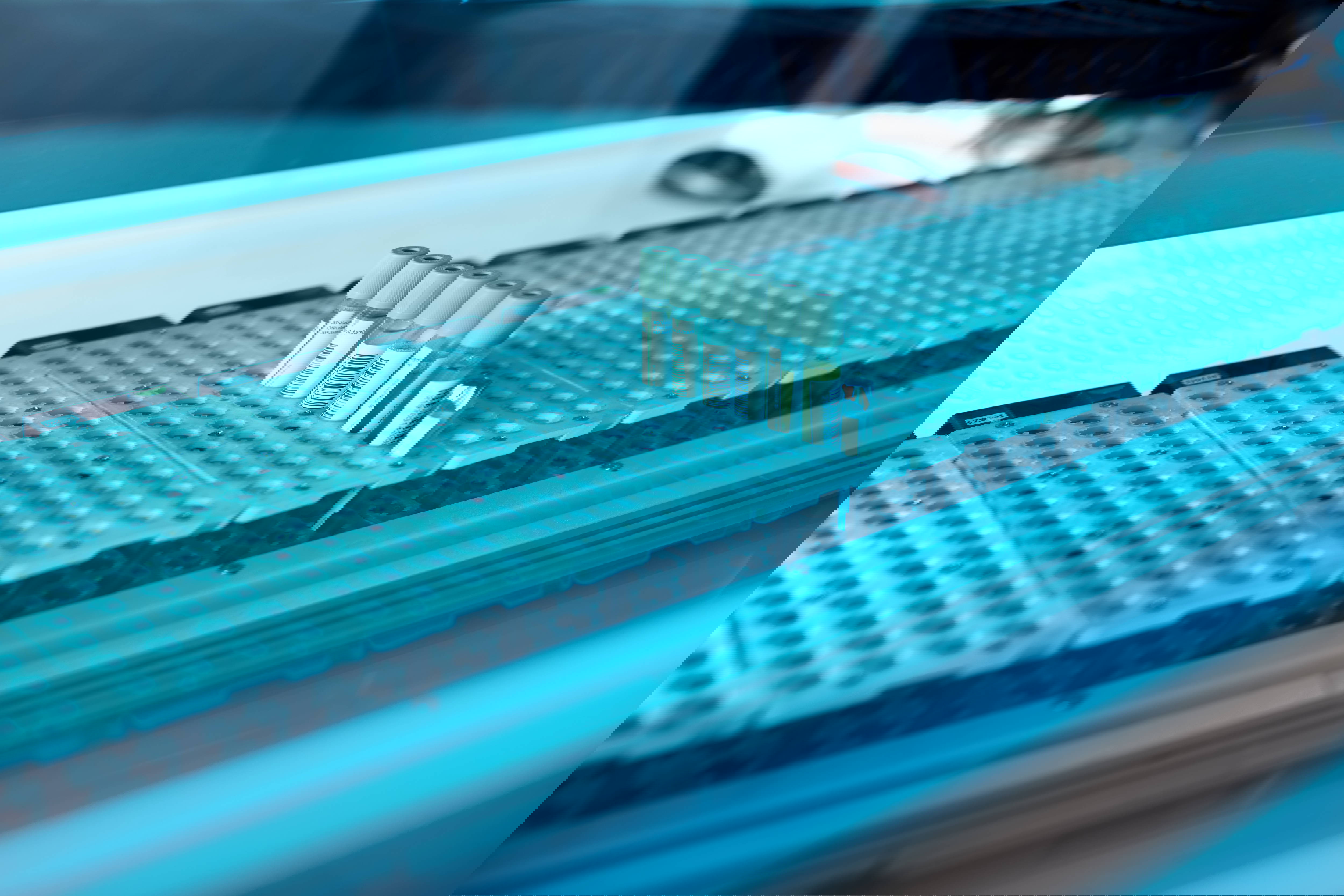 Provider of ULT Freezer Services and Storage Solutions